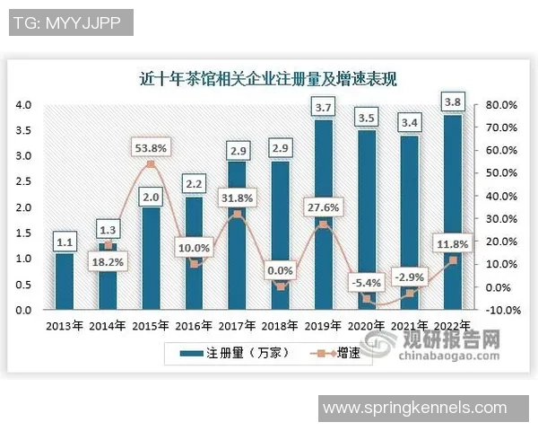 深入分析北京排球队的运营策略与发展模式探讨