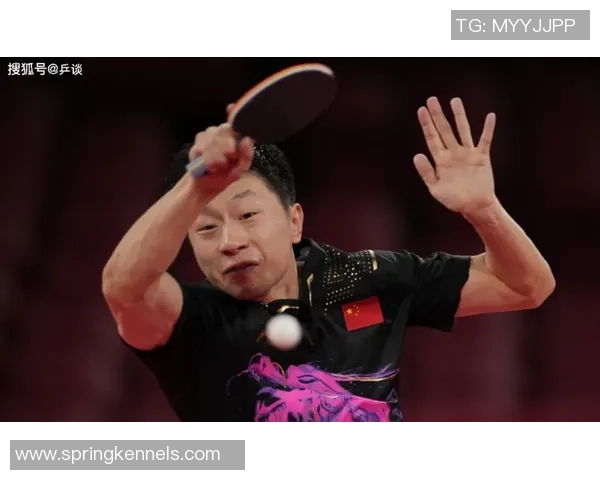 西安乒乓球队灵活性展现出色大满贯赛事点评分析