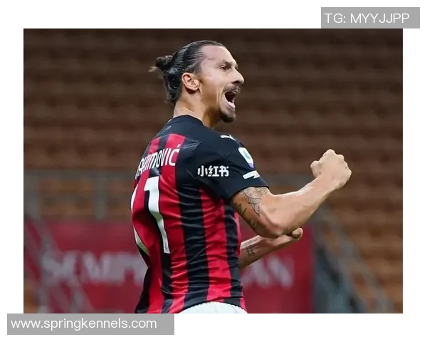 足球明星中后卫伊布的传奇职业生涯与场上风采解析