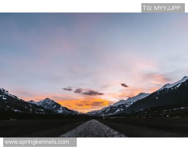 足球明星卡牌的魅力与价值解析以及如何收藏与投资