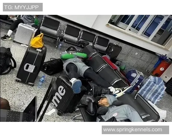 足球明星在机场的偶遇与签名会引发粉丝热潮与媒体关注