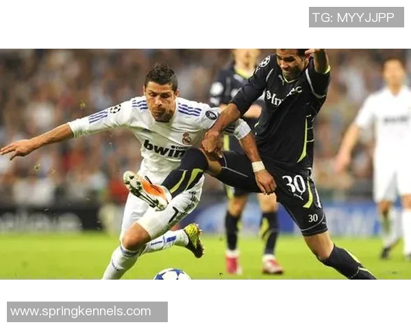 足球明星如何通过独特技巧与训练成就辉煌职业生涯的秘诀解析