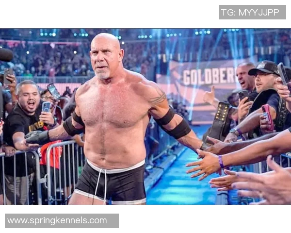 足球明星摔角背后的故事与传奇人物解析