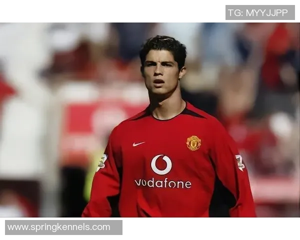 足球明星背后的泪水故事揭示了他们的坚韧与脆弱情感之旅