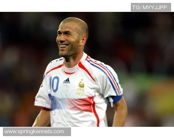 黑哨足球明星背后的秘密与争议盘点揭示他们的真实故事与影响力