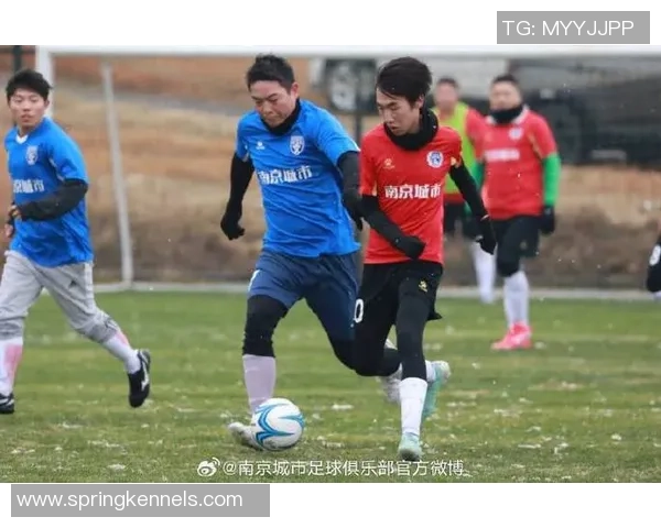 2026足球实力排名：南京足球队创新高